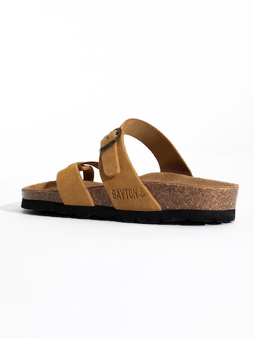 Bayton Mules 'Diane' in Yellow