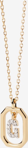 P D PAOLA Necklace in Yellow: front