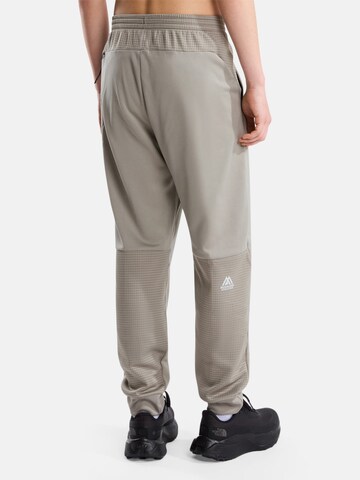 pilka THE NORTH FACE Standartinis Laisvalaikio kelnės 'Mountain Athletics 2.0'