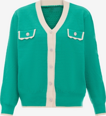 carato Knit Cardigan in Green: front