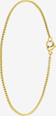 Lucardi Voetsieraden in Goud: voorkant