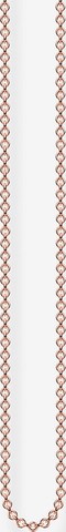 Thomas Sabo Necklace in Gold: front