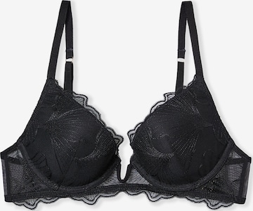 ETAM Push-up BH 'Prelude' in Schwarz: Vorderseite