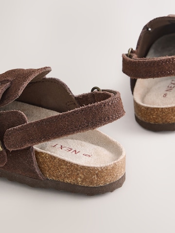 Next Open schoenen in Bruin