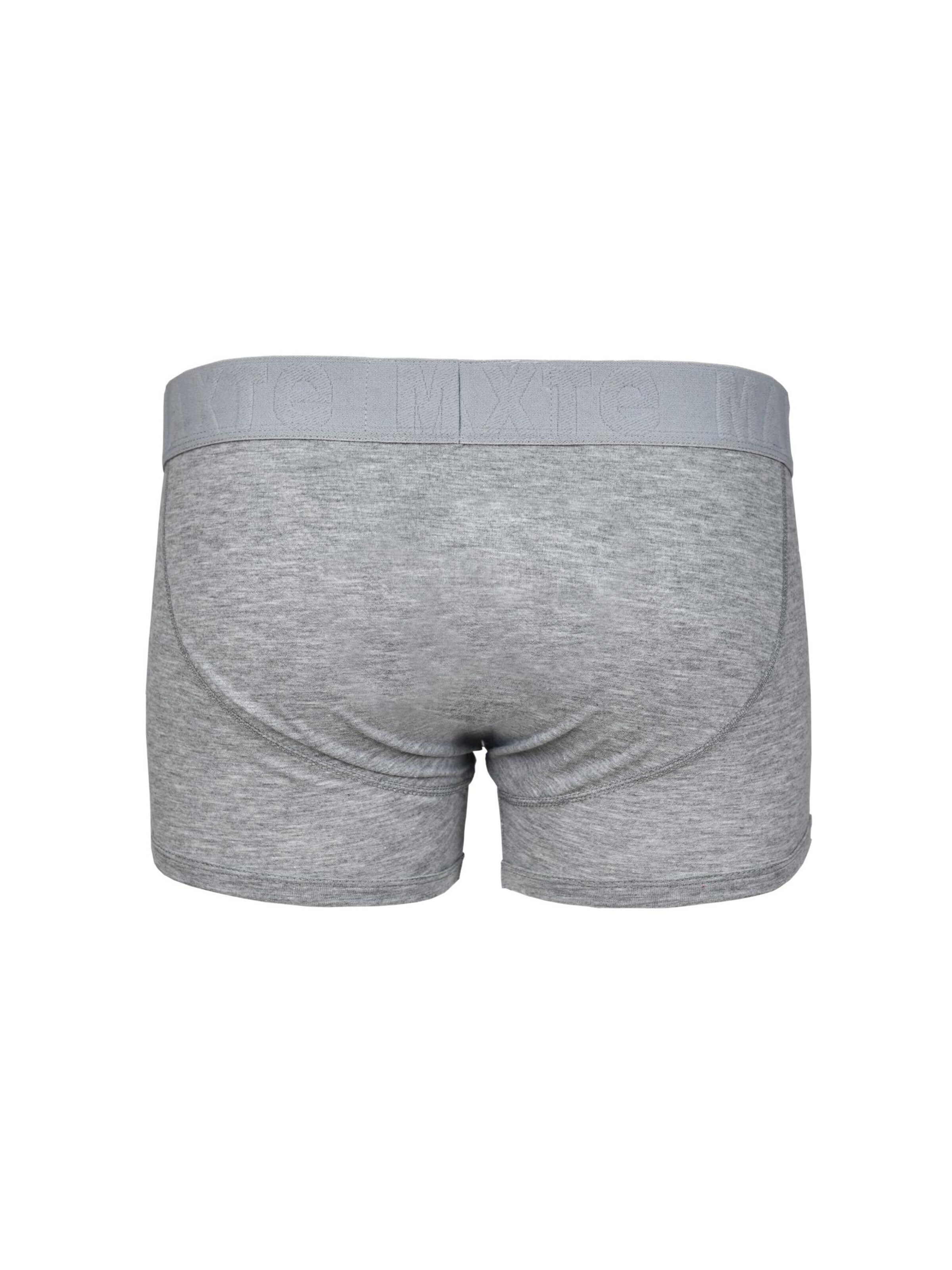Boxers 'COTTON MAX Boxershorts Men 5er Pack' Maxte en gris