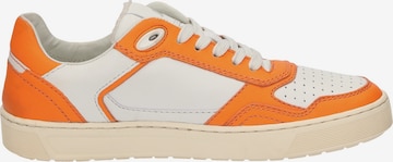 SIOUX Sneakers laag in Oranje