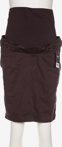 Esprit Maternity Rock M in Braun: predná strana