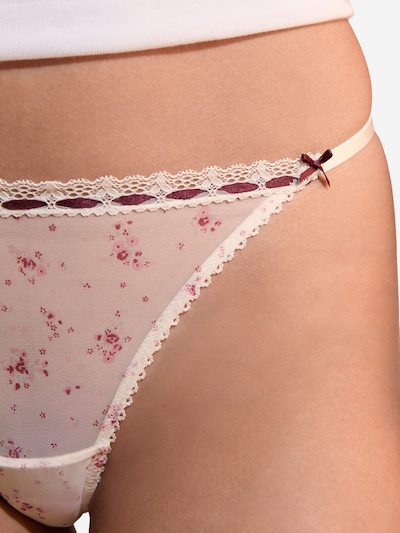 ETAM Thong 'Ella' in XS in Ecru / Rose / Wine red, Item view