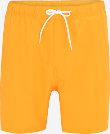 oranžinė HOLLISTER Maudymosi trumpikės: priekis