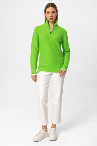DENIM CULTURE Sweater 'AILEEN' in Green