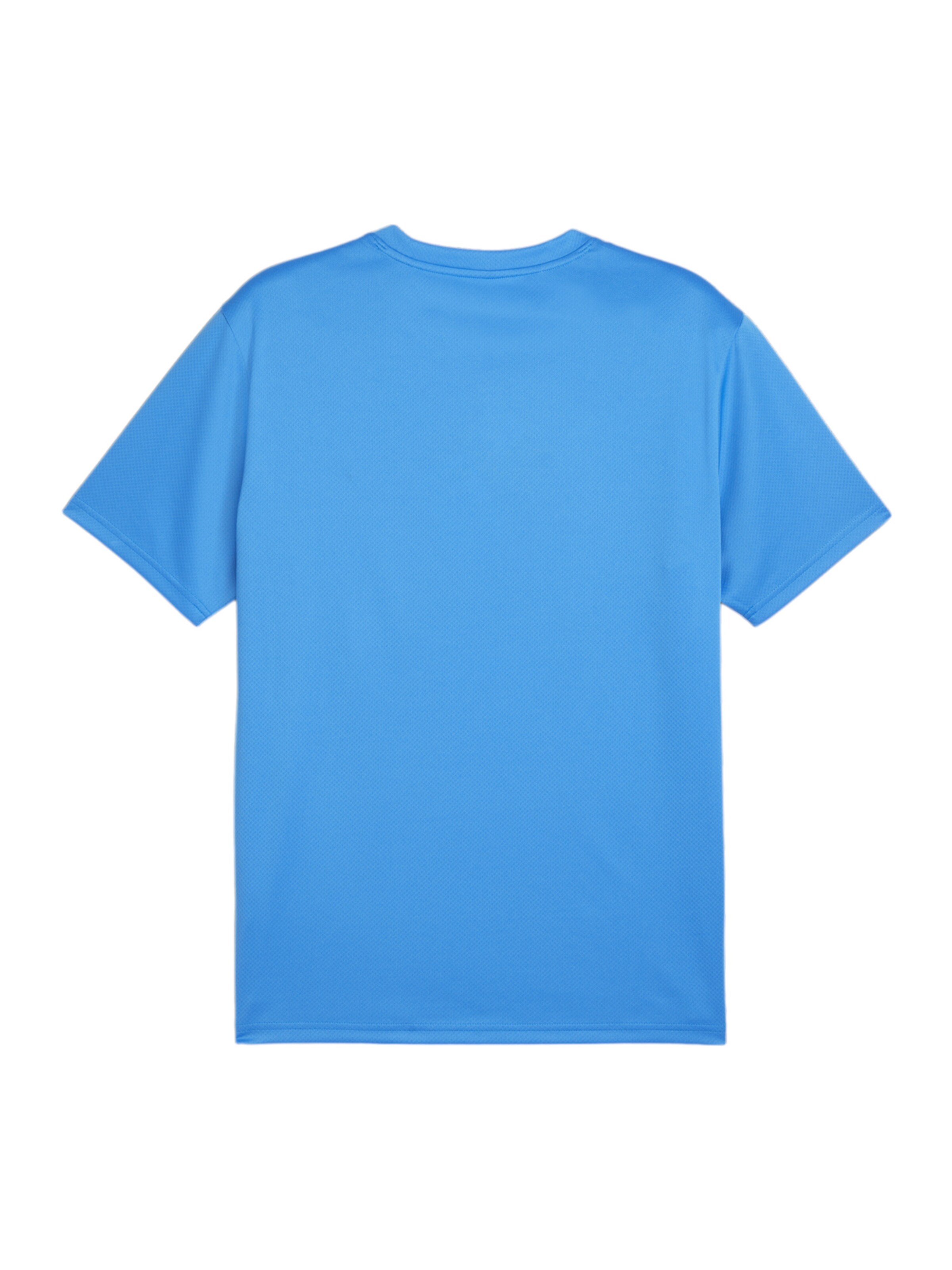 PUMA Performance Shirt in Blue