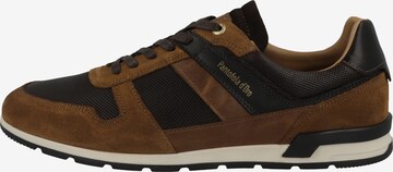 PANTOFOLA D'ORO Sneakers laag 'Taranto Uomo' in Bruin: voorkant