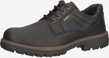 Pius Gabor Lace-Up Shoes in Brown: front