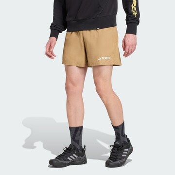 ADIDAS TERREX Regular Sportbroek 'Multi' in Bruin: voorkant