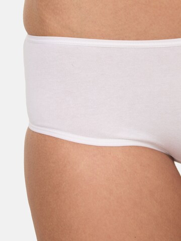 Nur Die Boyshorts in Mixed colors