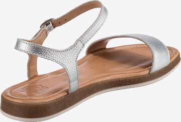 Apple of Eden Sandalen met riem 'Isa' in Zilver