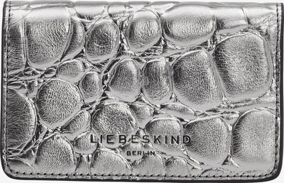 Liebeskind Berlin Naudas maks Sudrabs, Preces skats
