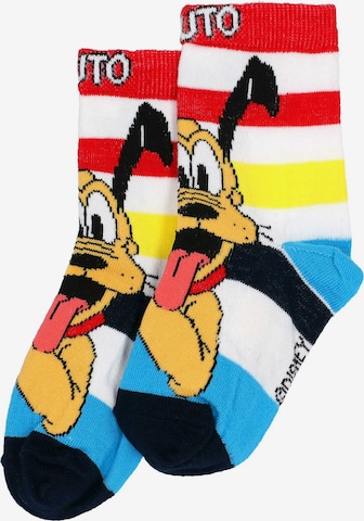 DISNEY Socken 'Mickey Mouse Pluto' in Mischfarben: Vorderseite