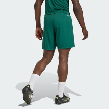 ADIDAS PERFORMANCE Regular Sports trousers 'ENT26' in Green