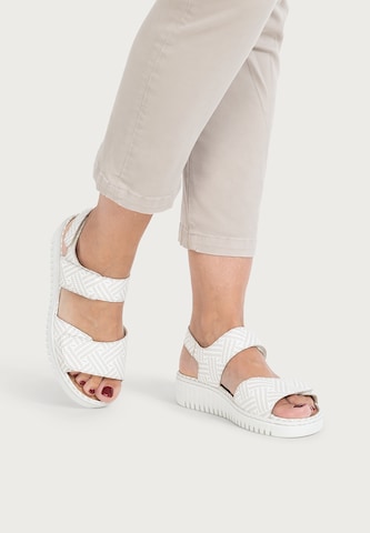 VITAFORM Sandals in Beige: front