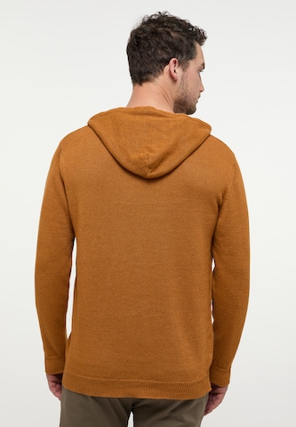 ETERNA Pullover in Braun