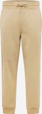 Tapered Pantaloni di GANT in beige: frontale