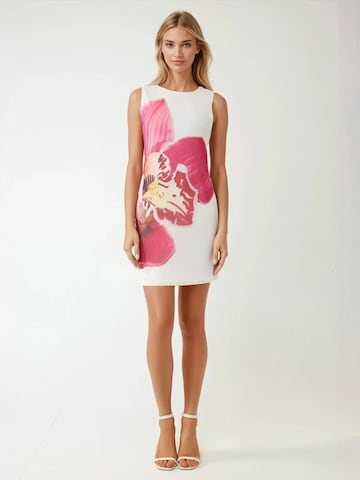 Hiccup Dress in White