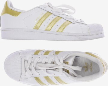 ADIDAS ORIGINALS Sneakers & Trainers in 38 in White: front