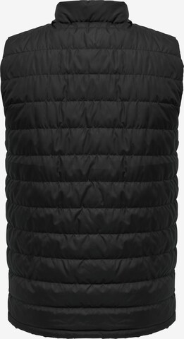 Hummel Vest in Black