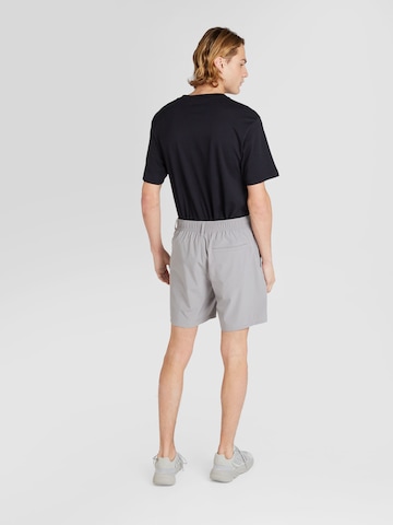 HOLLISTER - regular Pantalón en gris