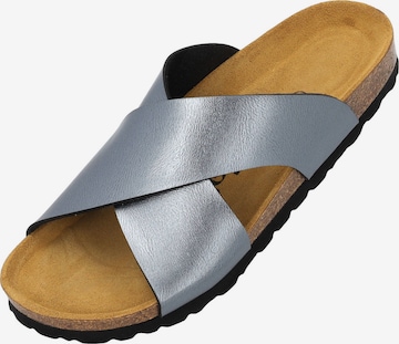 Palado Mules 'Rianel' in Grey: front