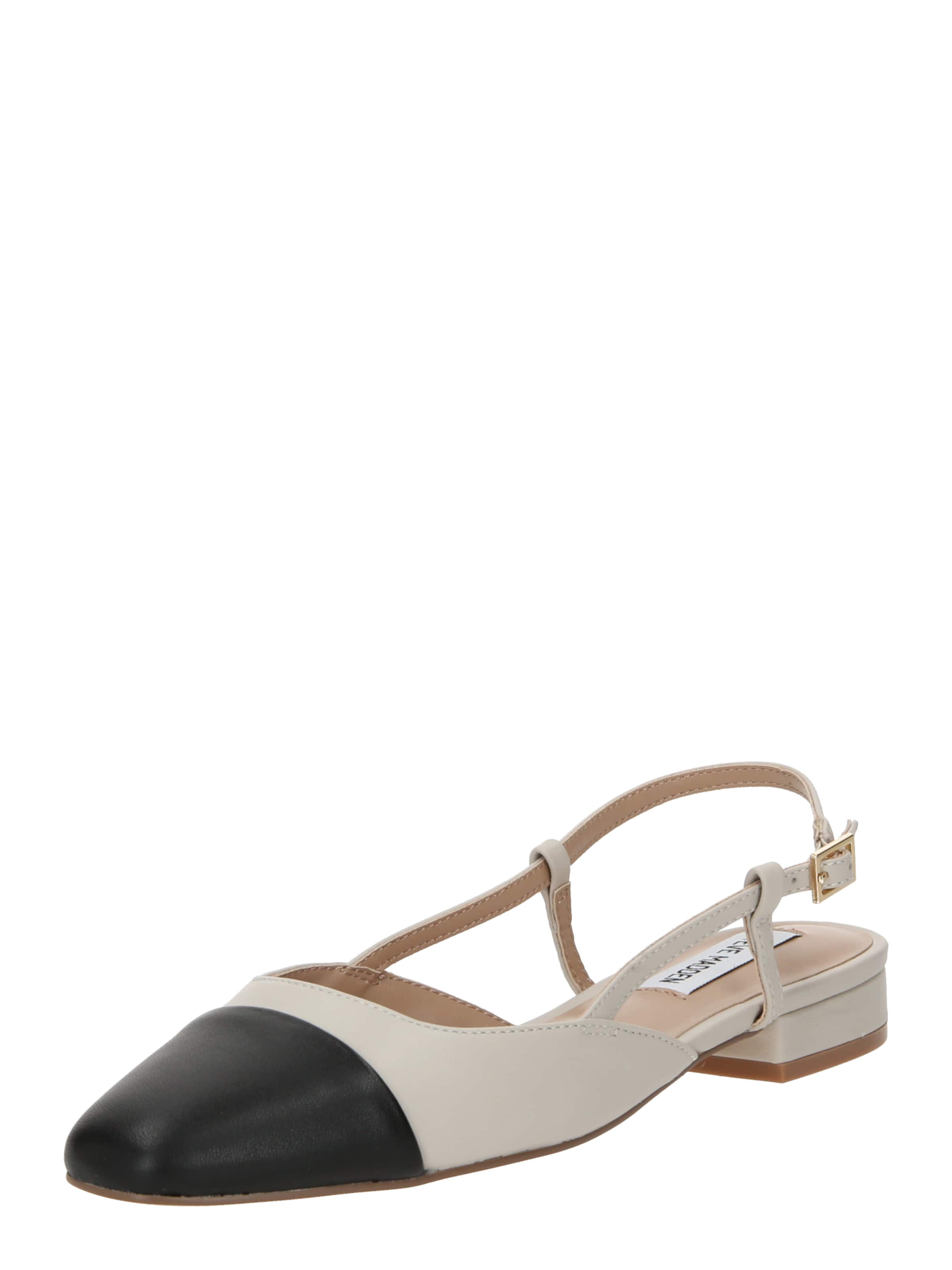 STEVE MADDEN Ballerina met riempjes 'BELINDA' in Grijs: voorkant