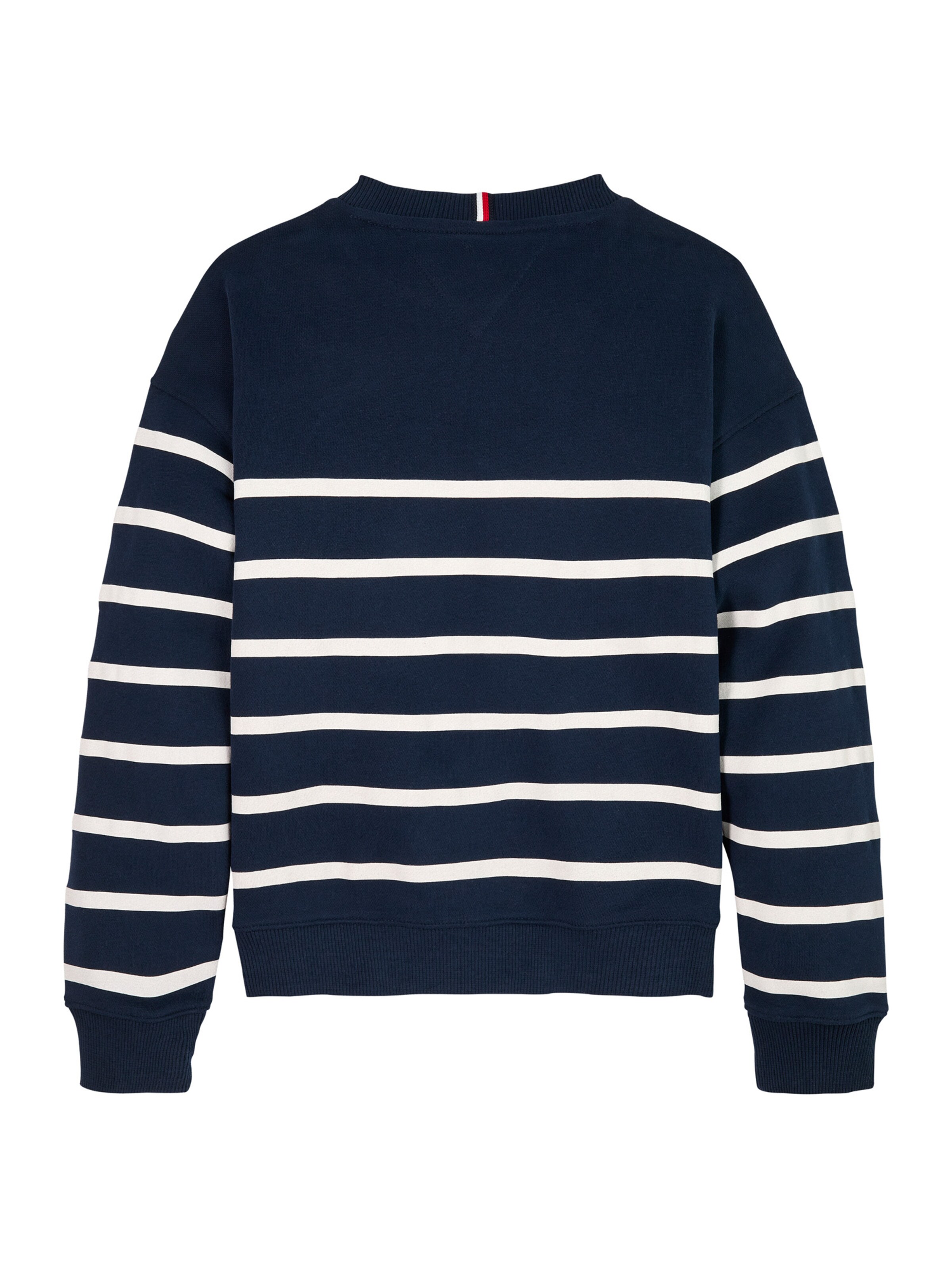 TOMMY HILFIGER Sweatshirt in Blue
