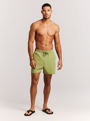 PROTEST Badeshorts 'PRTIgapo' in Grün