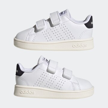 Baskets 'Advantage' ADIDAS ORIGINALS en blanc