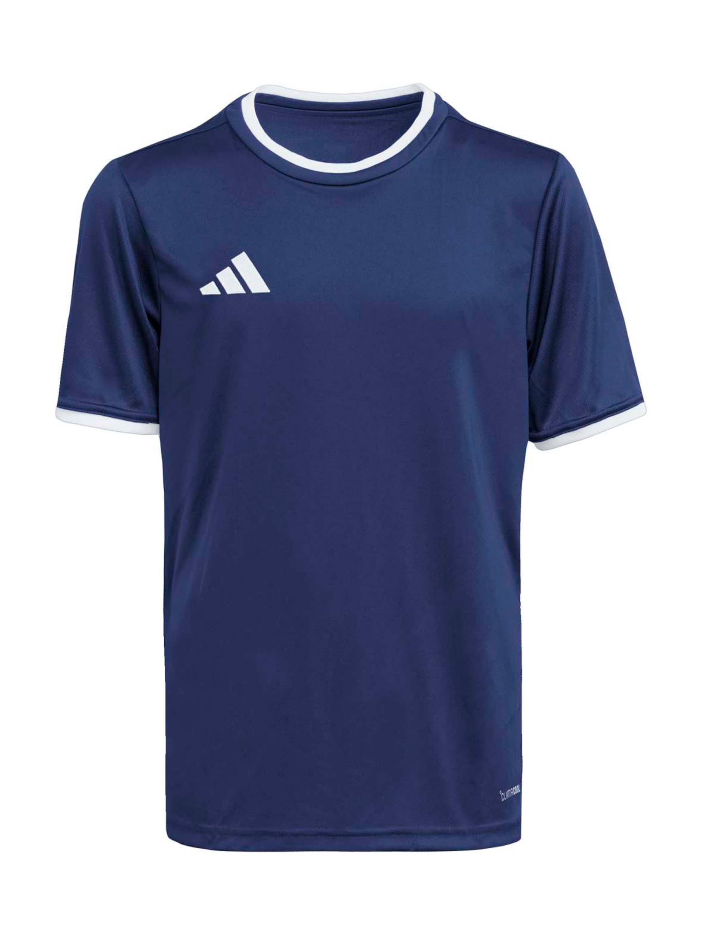 ADIDAS PERFORMANCE Performance Shirt 'ENT26' in Blue: front