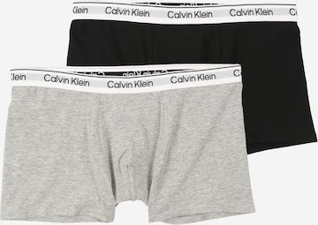 Calvin Klein Underwear Трусы в Серый: спереди