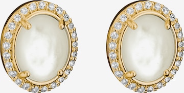 Thomas Sabo Ohrringe in Gelb: Vorderseite