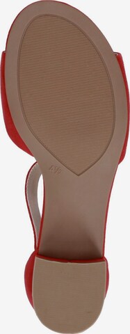 CAPRICE Sandals in Red