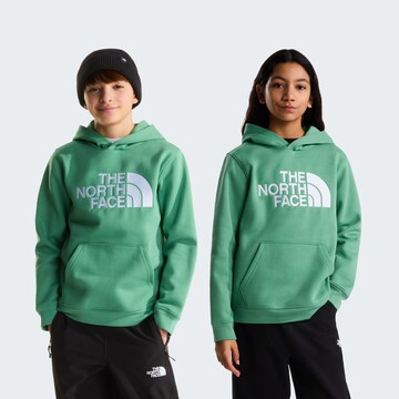 THE NORTH FACE Athletic Sweatshirt in Green: front