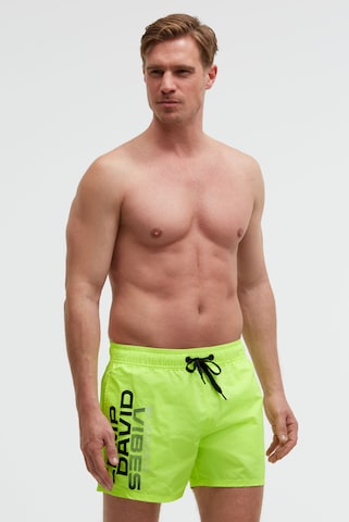 CAMP DAVID Board Shorts in Green: front
