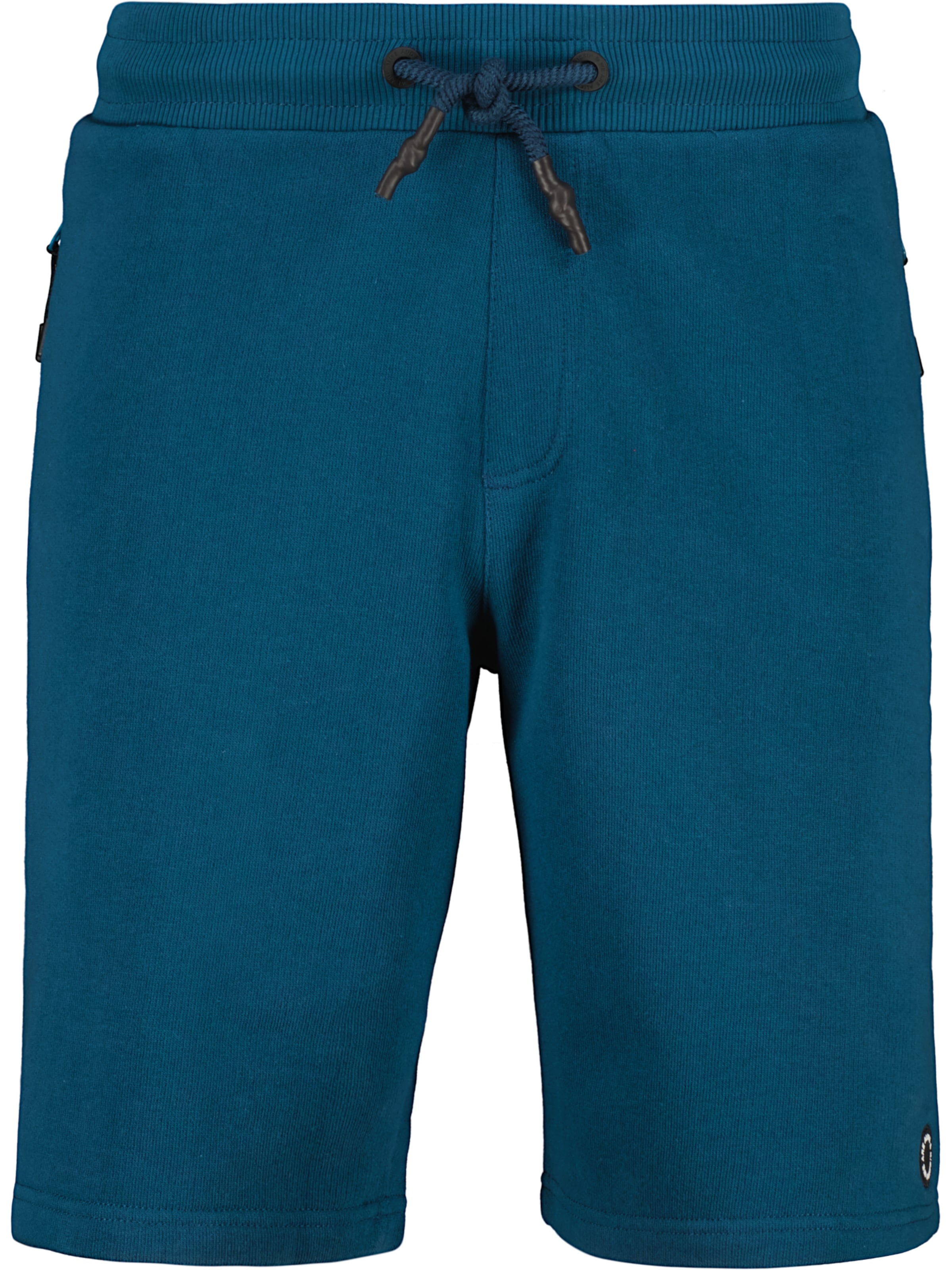 regular Pantaloni 'AndyAK A' di alife & kickin in blu: frontale