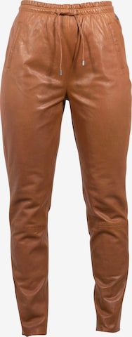 Gipsy Tapered Pants in Brown: front
