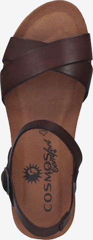 COSMOS COMFORT Sandalen met riem in Bruin