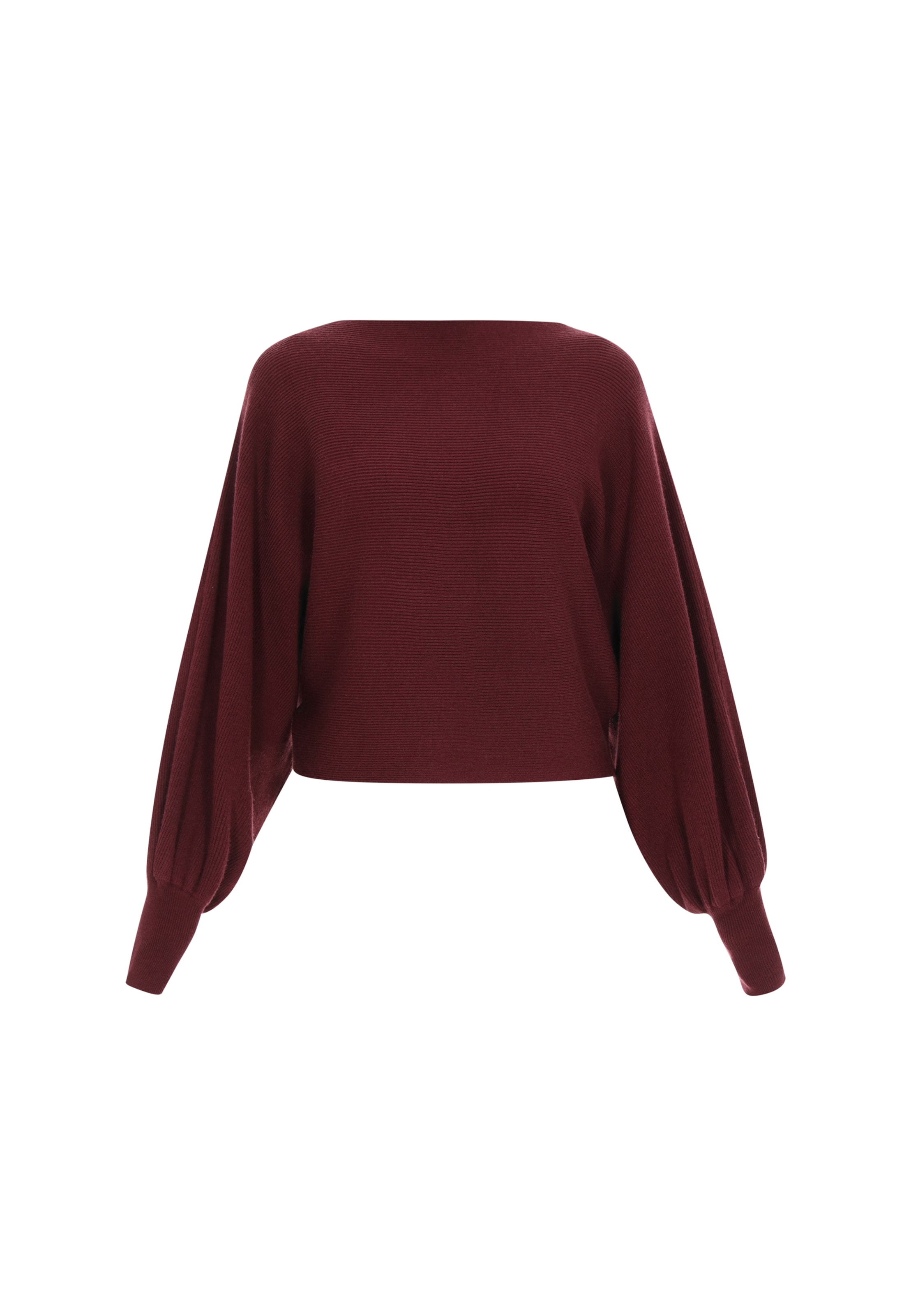 DreiMaster Maritim Свитер в Красный: спереди