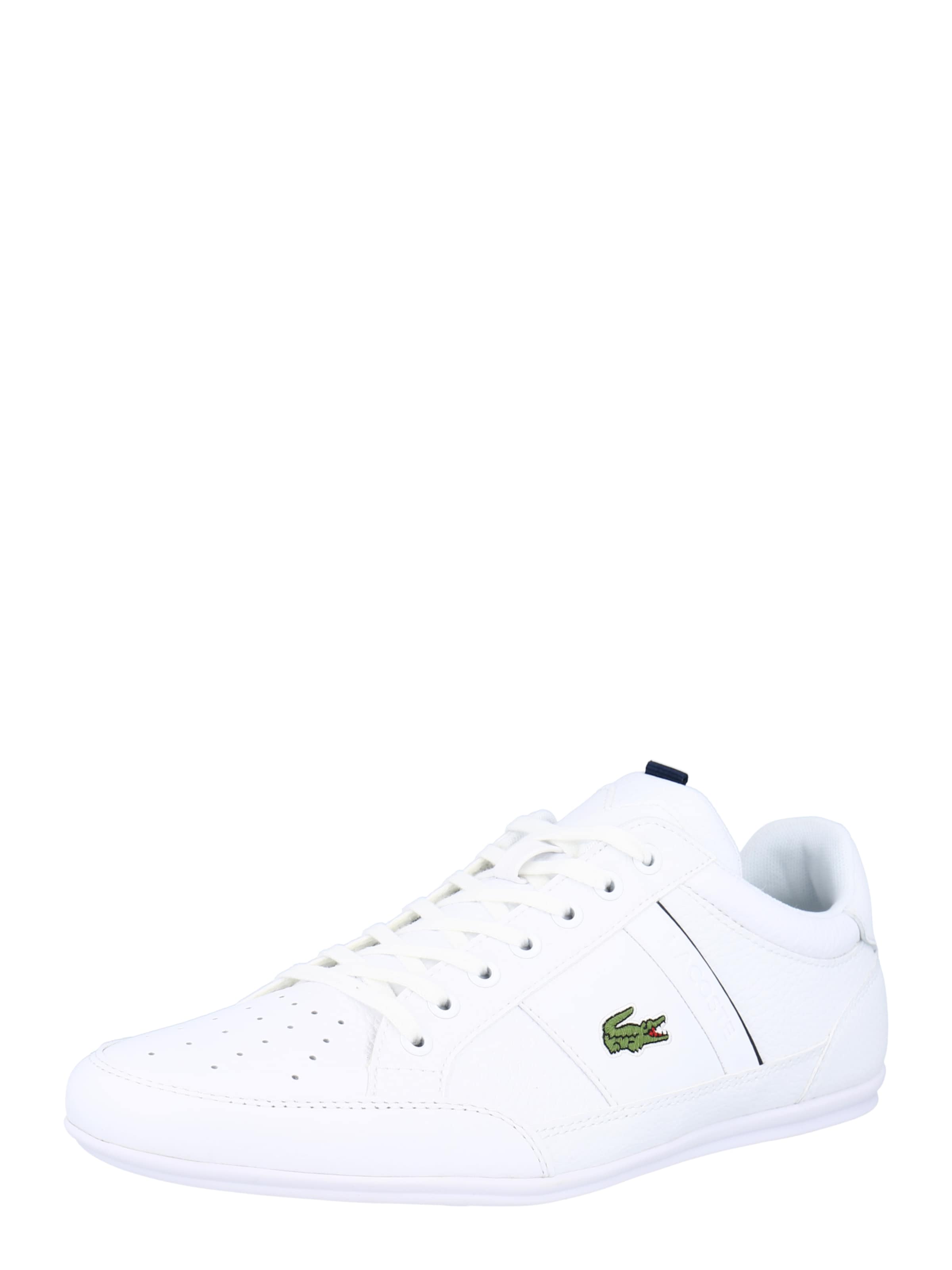LACOSTE Schoenen voor heren online kopen | ABOUT YOU