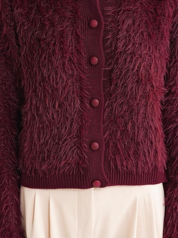 MixRay Gebreid vest in Rood