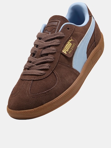 PUMA Sneakers 'Palermo' in Brown