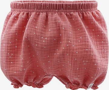 MAXIMO Regular Shorts (GOTS) in Rot: predná strana