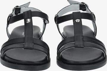 Nero Giardini Strap Sandals in Black